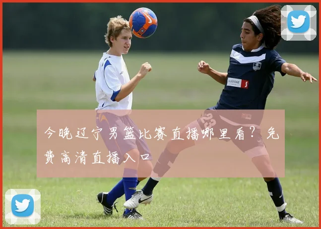 今晚辽宁男篮比赛直播哪里看？免费高清直播入口