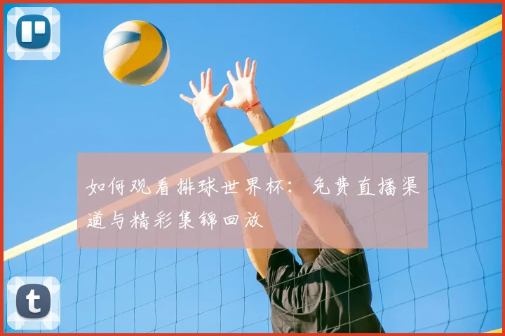 如何观看排球世界杯：免费直播渠道与精彩集锦回放