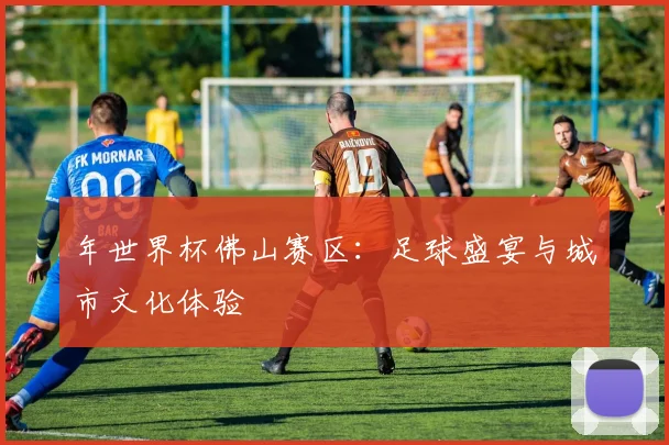 年世界杯佛山赛区:足球盛宴与城市文化体验
