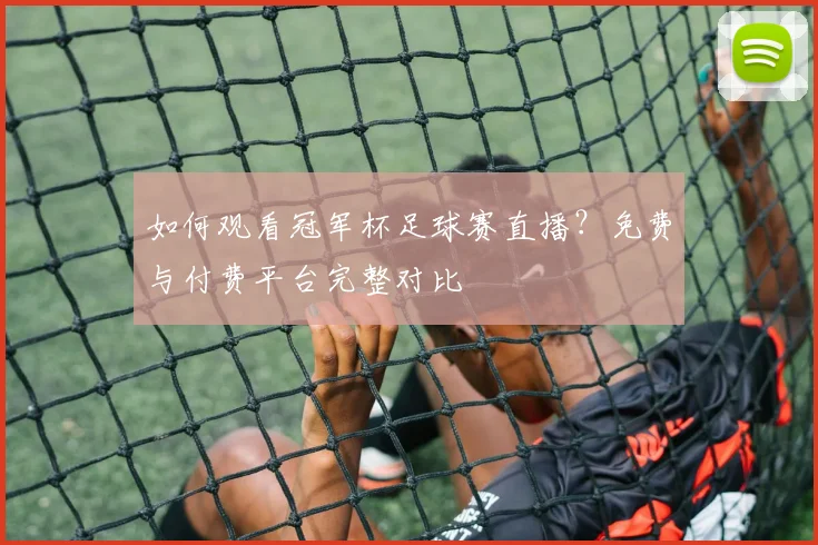 如何观看冠军杯足球赛直播？免费与付费平台完整对比