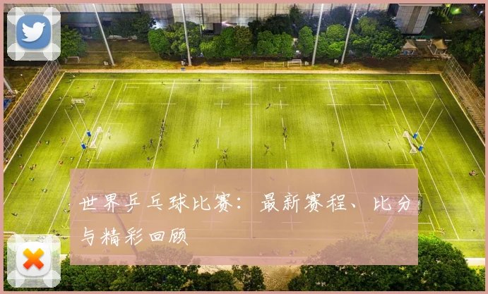 世界乒乓球比赛：最新赛程、比分与精彩回顾