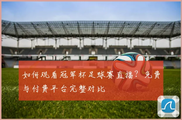 如何观看冠军杯足球赛直播？免费与付费平台完整对比