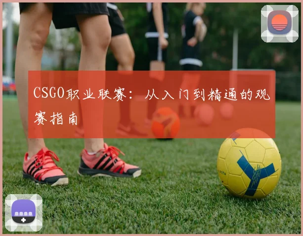 CSGO职业联赛：从入门到精通的观赛指南