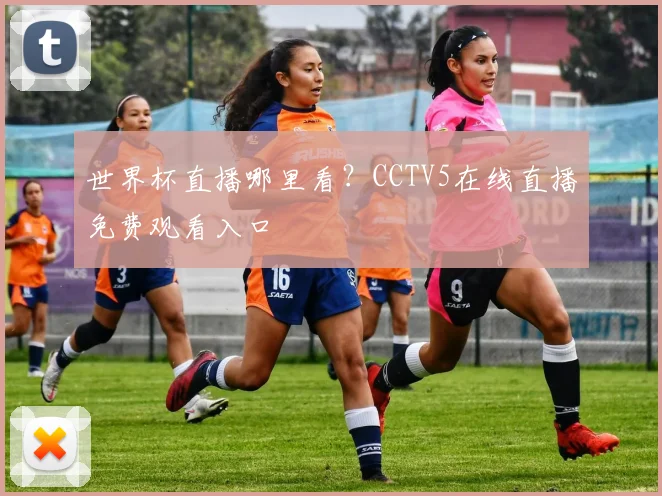 世界杯直播哪里看？CCTV5在线直播免费观看入口